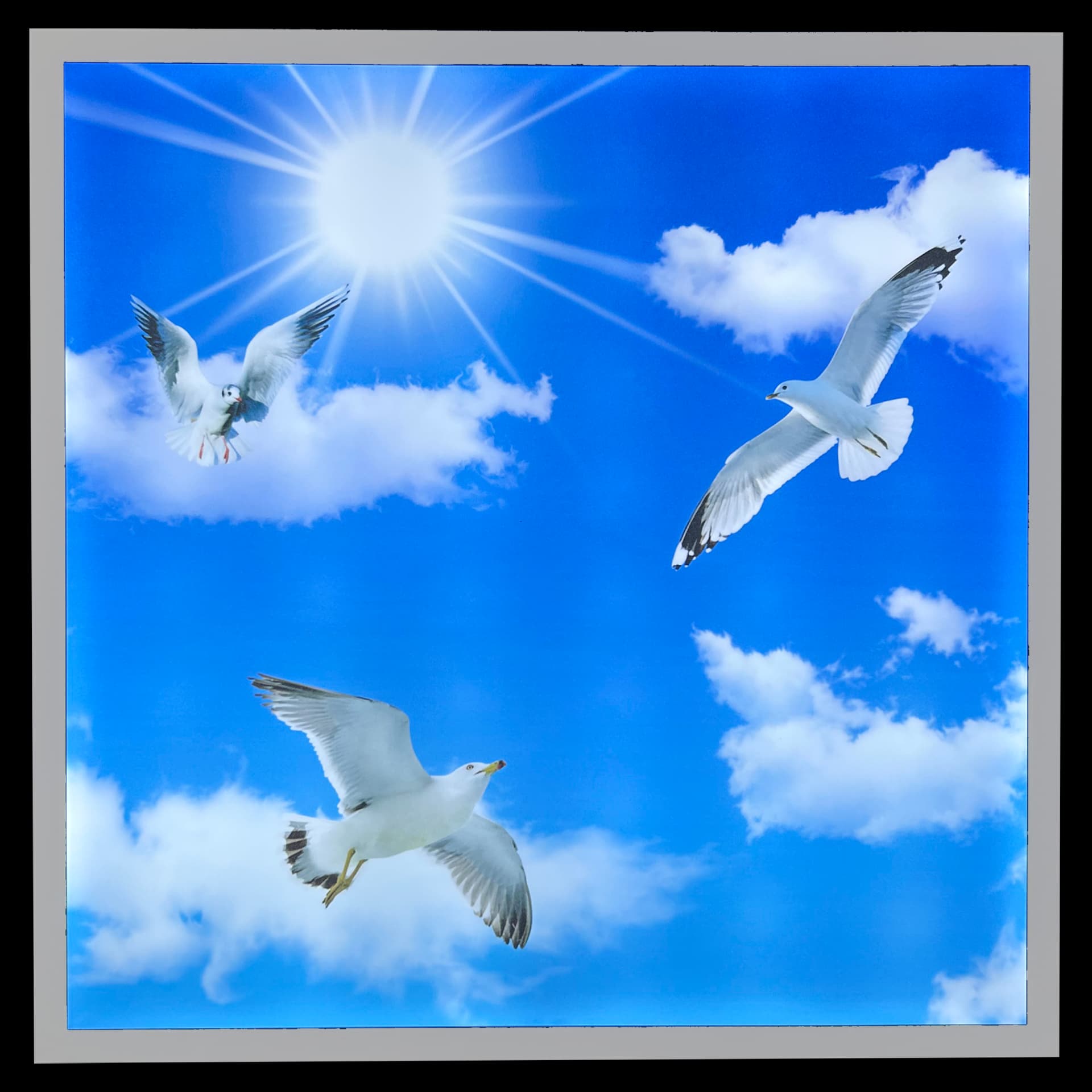 Bird &amp; Sky Panel LED Ceiling Light | 600 x 600mm | Anti-Yellowing