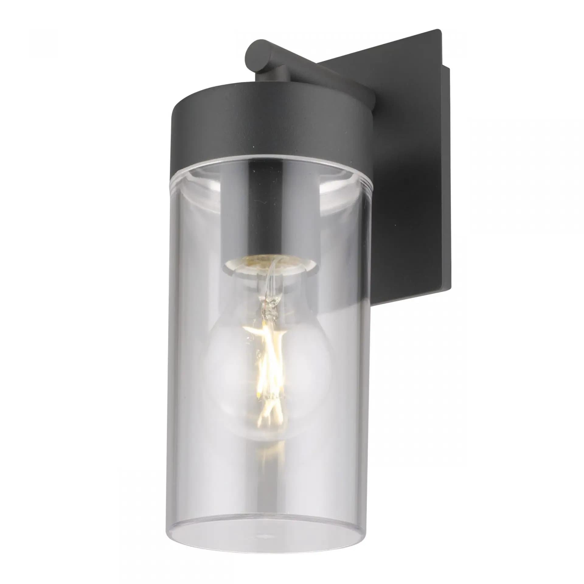 Clear Polycarbonate Outdoor Wall Light | WL-B11
