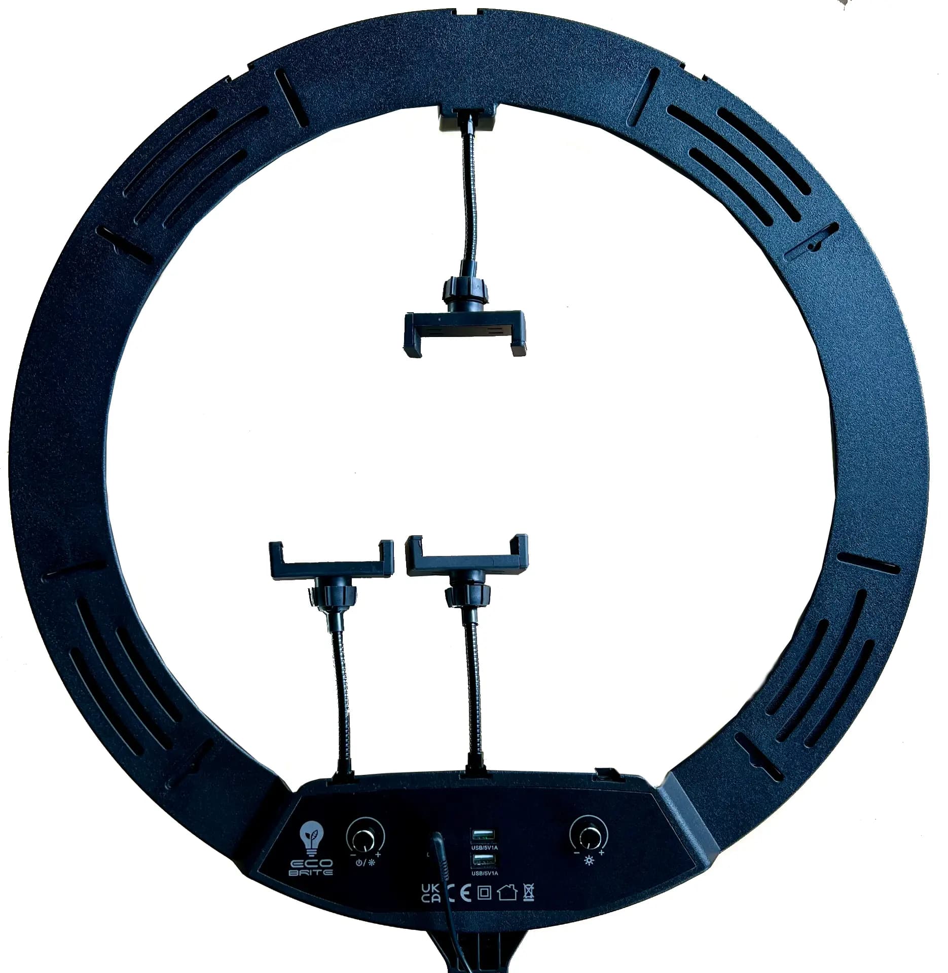 Modern Ring Floor light