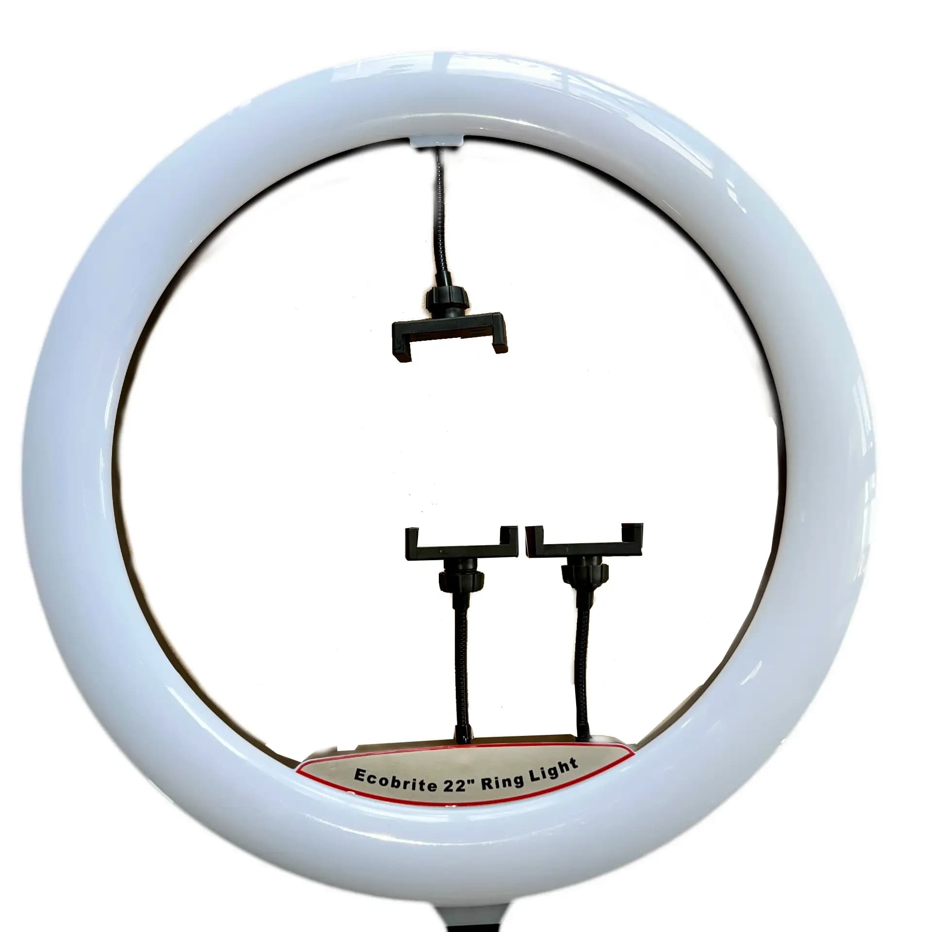 Modern Ring Floor light
