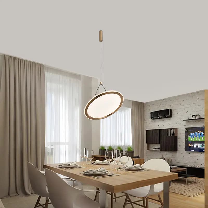 Modern Gold Hanging Circle Ceiling Light CP189