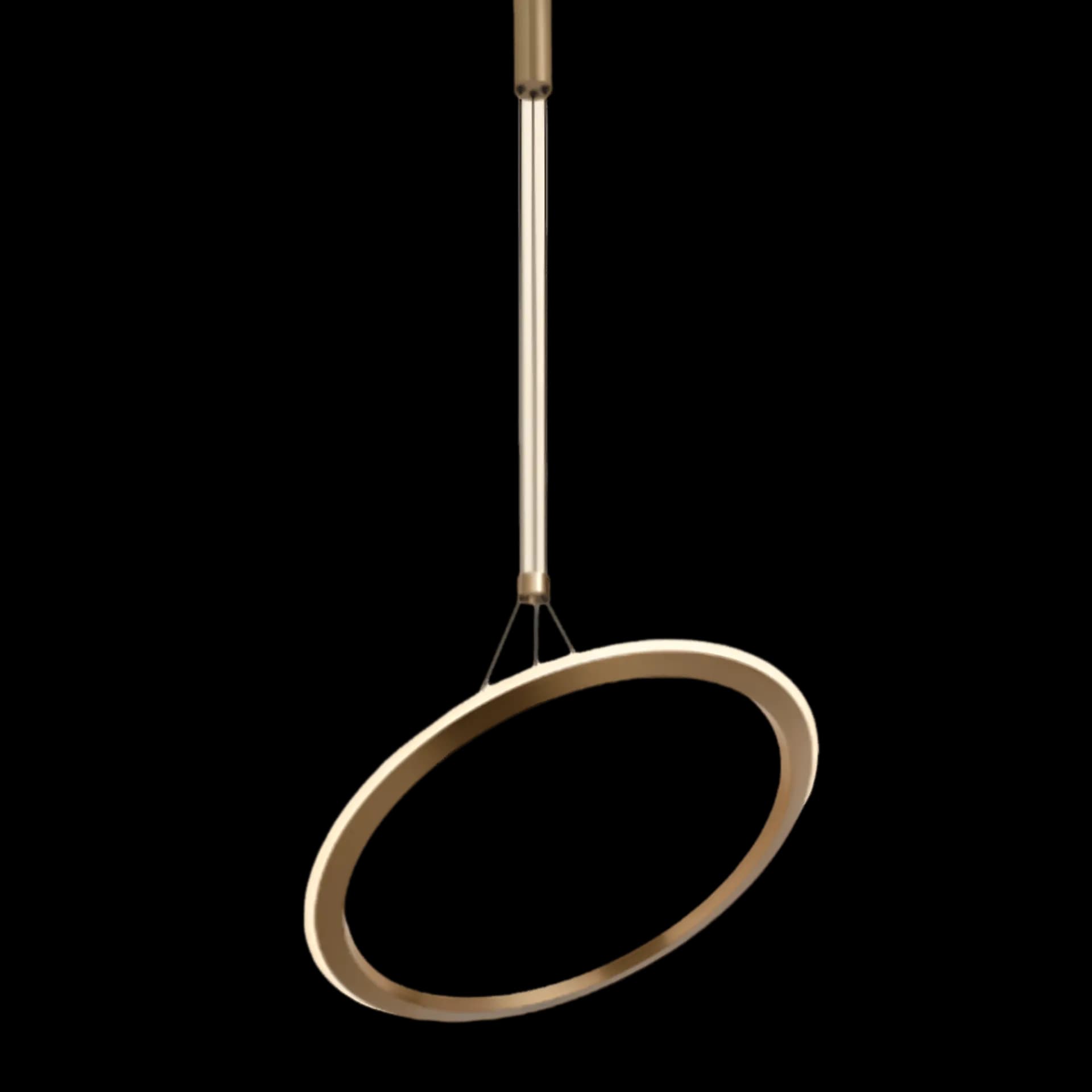 Modern Gold Hanging Circle Ceiling Light CP189