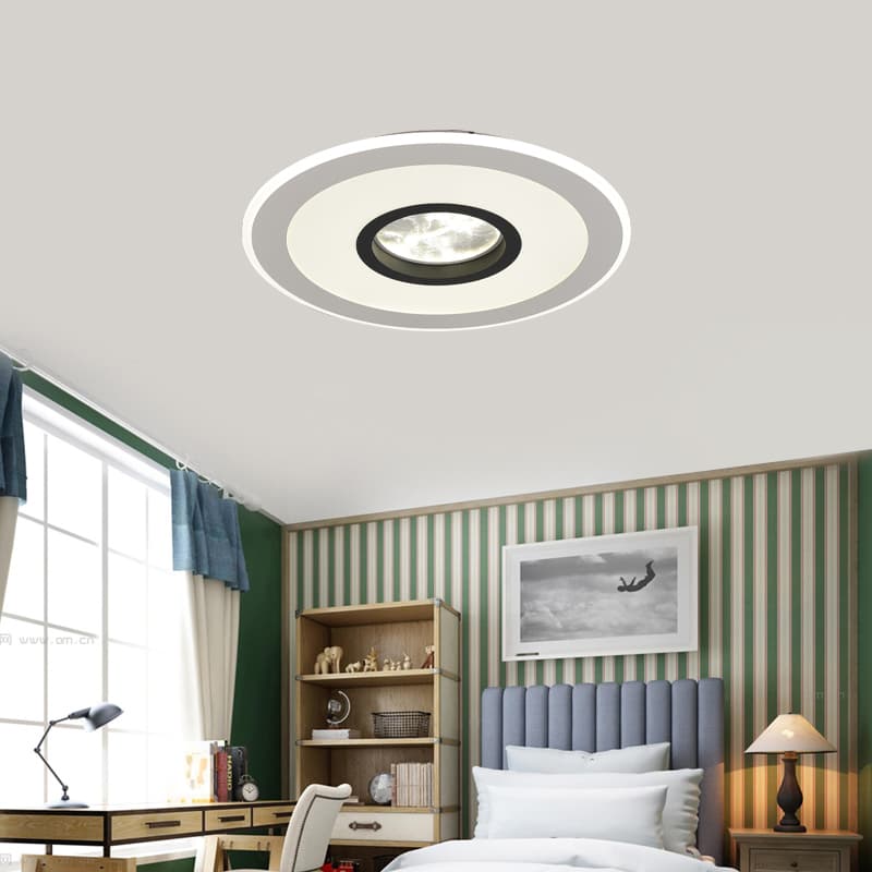 Modern Grey Inner-Design Circle Ceiling Light CP193