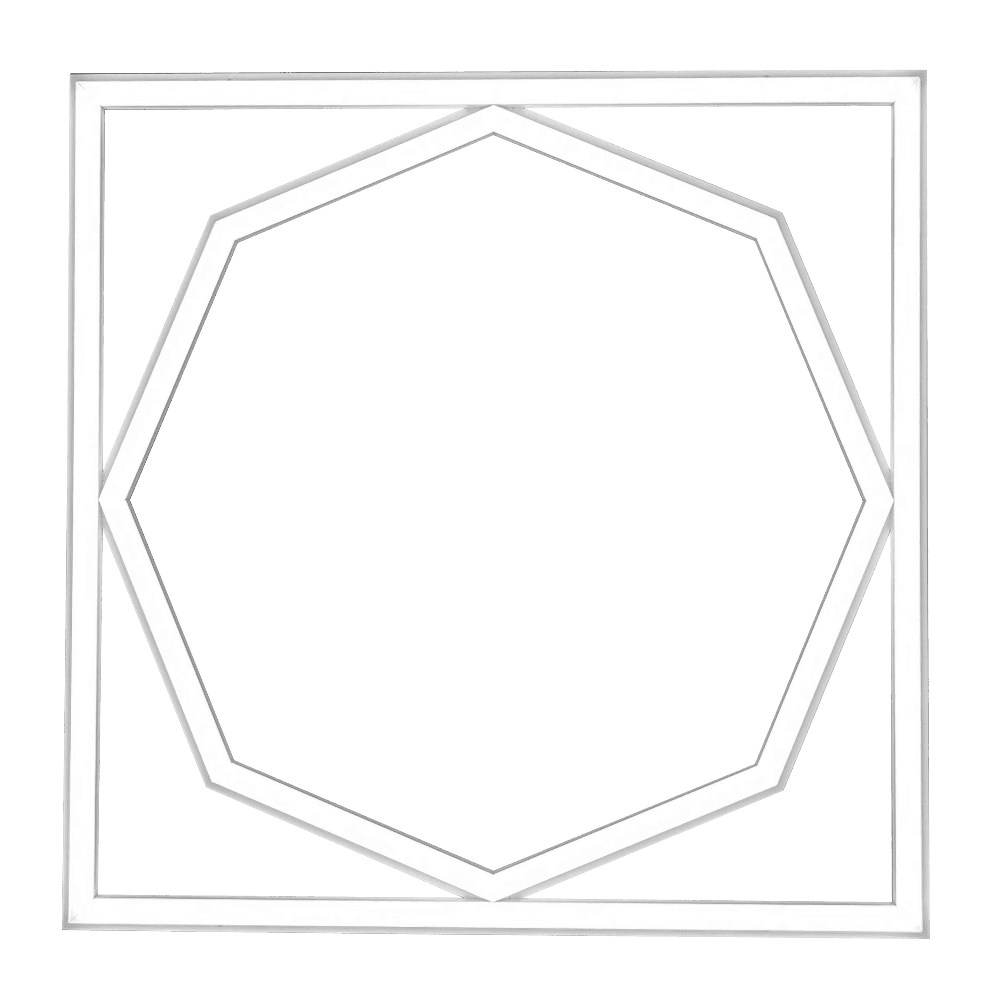 Ultra Bright Octagon Shape LED Ceiling Panel Light – Coolwhite 600 x 600mm